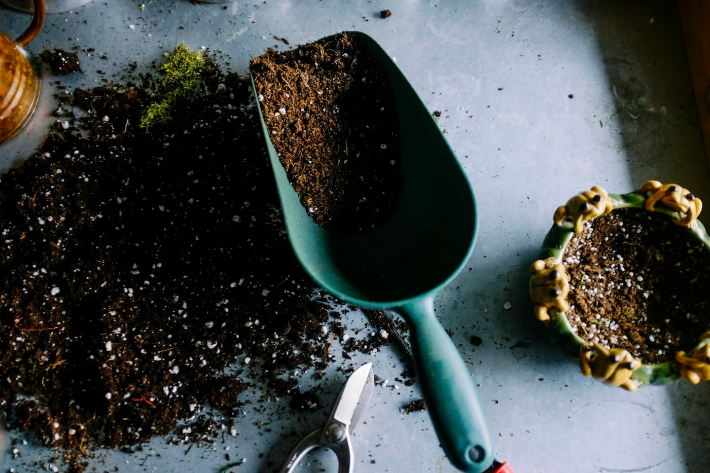 Hands planting a small seedling in dark garden soil
